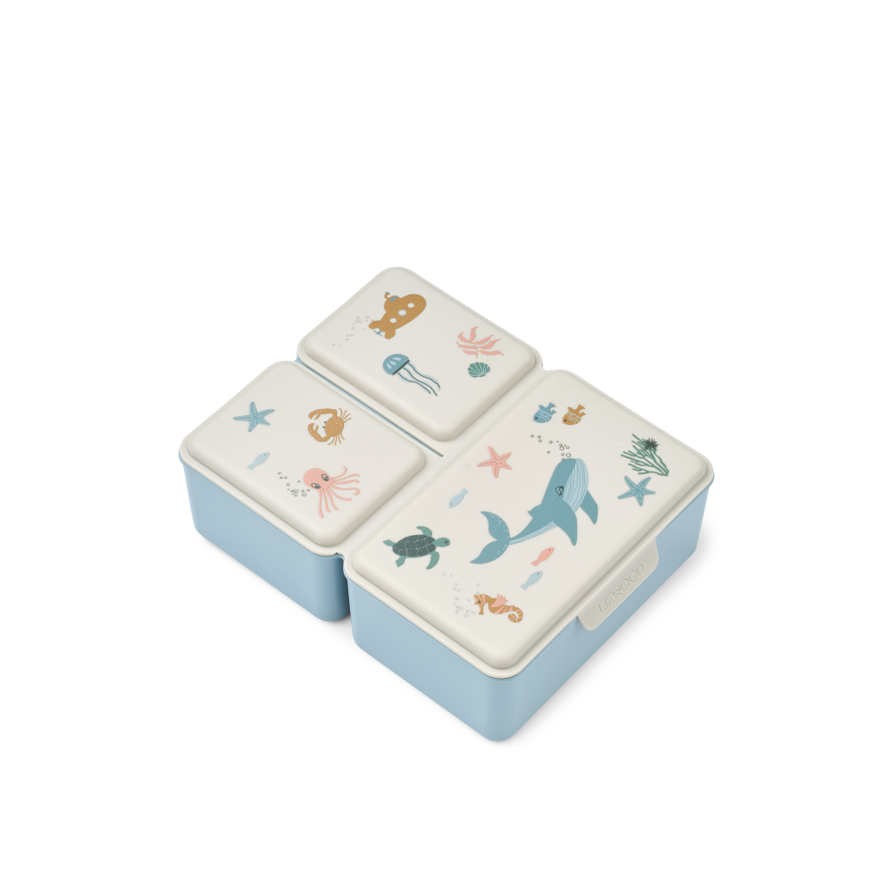 Driss Lunchbox